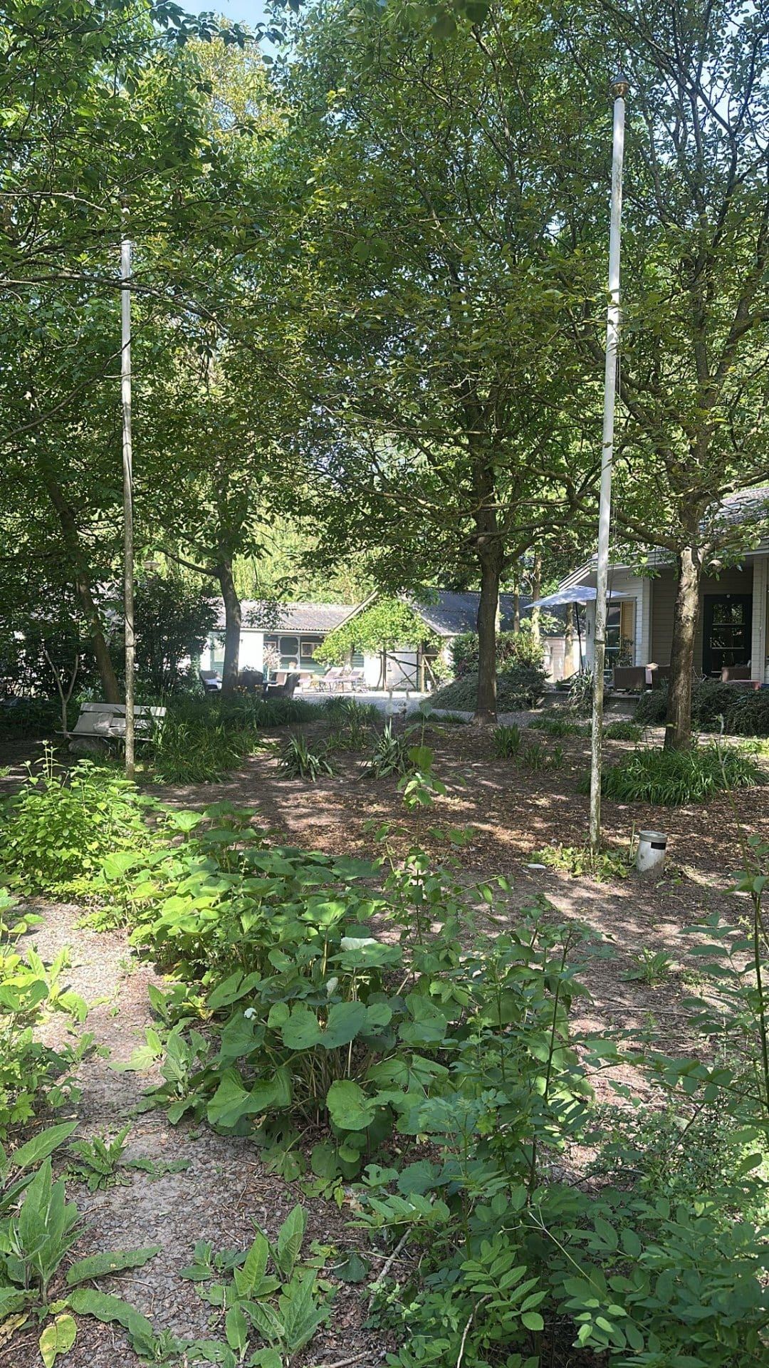 Groene tuin met paden en beplanting rond Villa Kwispelbont