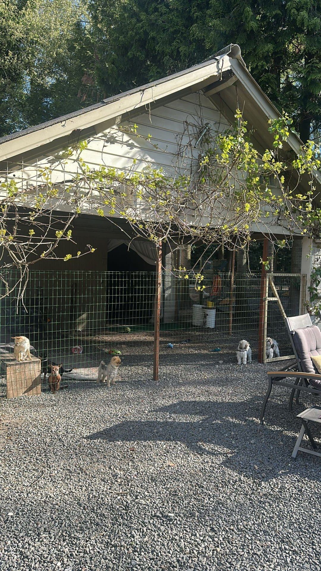 Witte villa met grote overkapping en honden in de tuin