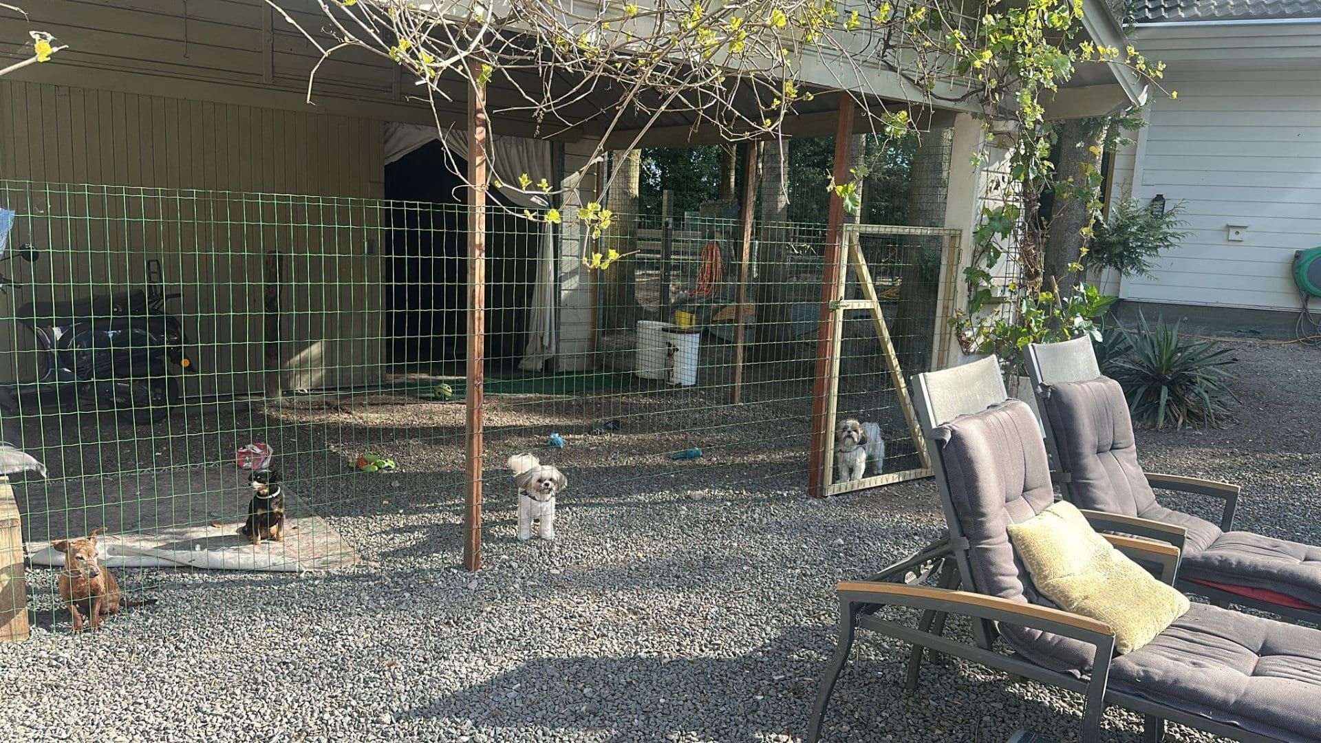 Loungeplek in de tuin met druivenrank