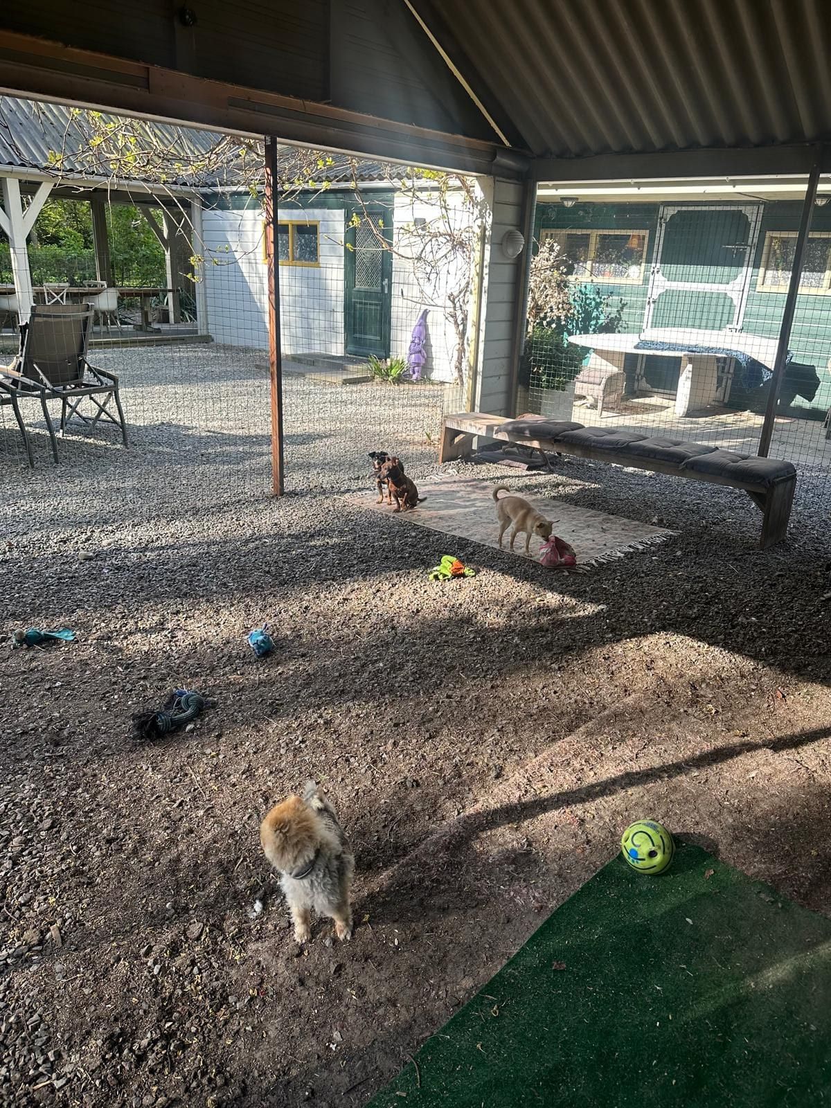 Villa Kwispelbont foto 20